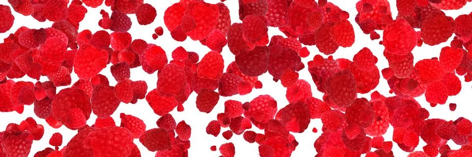 Raspberry isolated panoramic Stock Photos