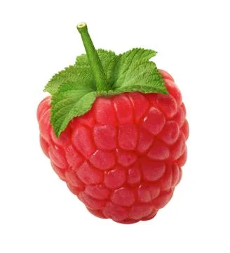 Raspberry isolated Stock Photos