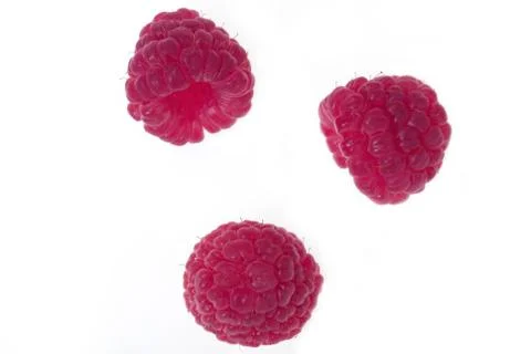 Raspberry isolated Stock Photos