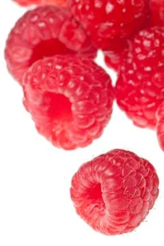 Raspberry isolated Stock Photos