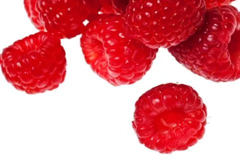 Raspberry isolated Stock Photos