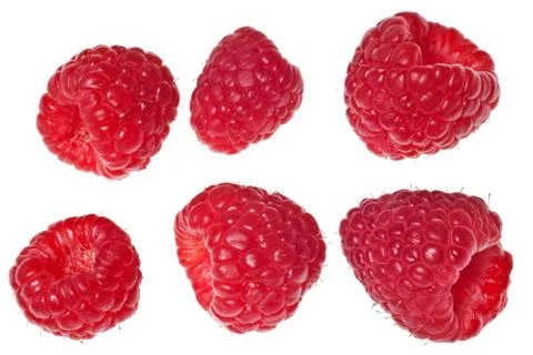 Raspberry isolated Stock Photos