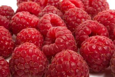 Raspberry isolated Stock Photos