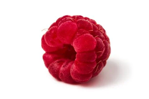 Raspberry isolated Stock Photos