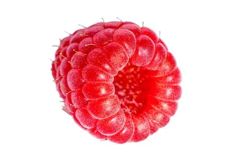Raspberry isolated on white background. Bright red berry detailed close up. Stock Photos