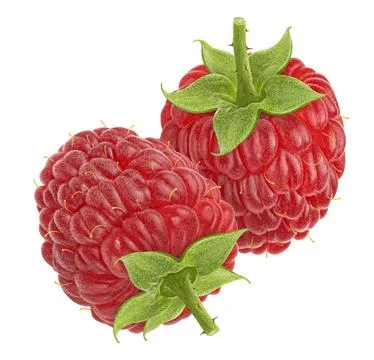 Raspberry isolated on white background, full depth of field Stock-Fotos