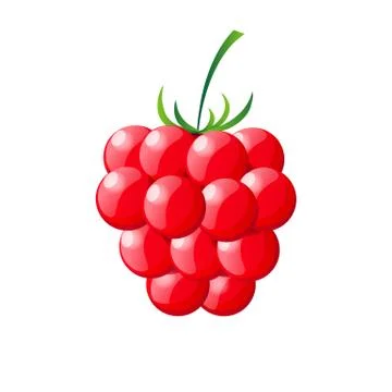 Raspberry isolated on white background Stock Illustration