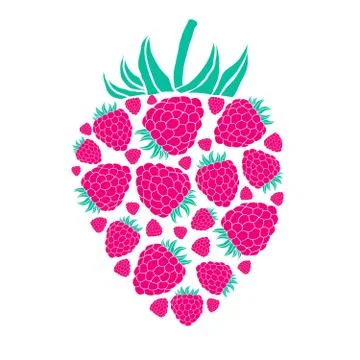 Raspberry Isolated on White Background Stock Illustration