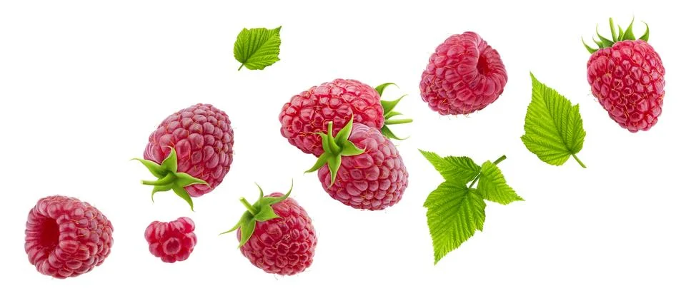Raspberry isolated on white background Foto stock