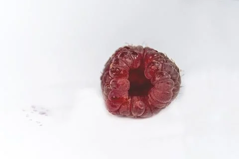 Raspberry Isolated on White Background Stock Photos