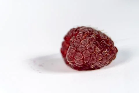 Raspberry Isolated on White Background Stock Photos