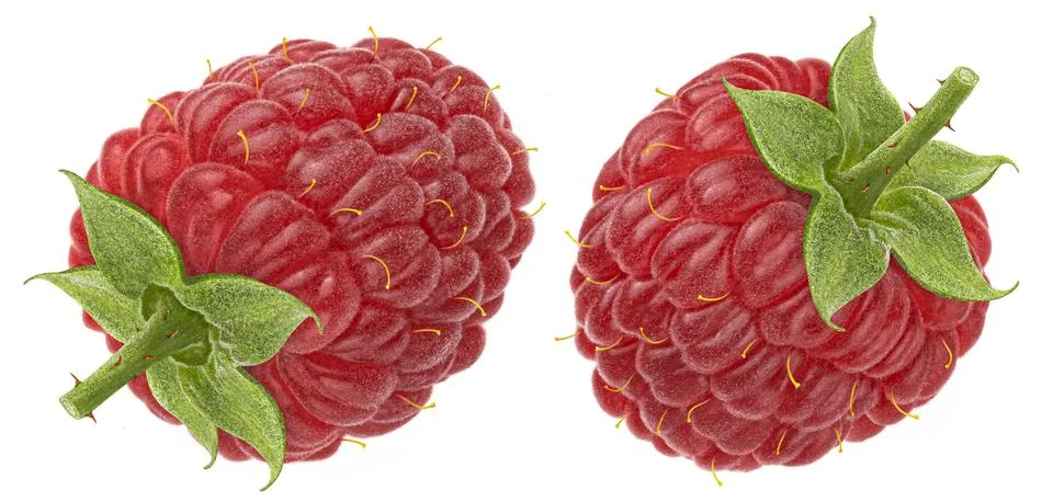Raspberry isolated on white background Foto stock