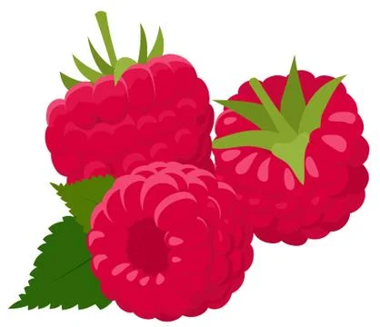 Raspberry isolated on white background. Raspberries. Forest berry. Raster Ill Stock Illustration