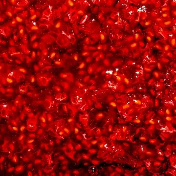 Raspberry jam background.Raspberries in sugar.The texture of raspberry jam. Stock Photos