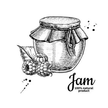 Raspberry jam glass jar vector drawing.  Fruit Jelly and marmala Stock Illustration