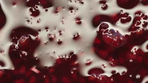 Raspberry jam rotates in a circle. High quality 4k footage Stock Footage 219937884