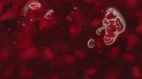 Raspberry jam rotates in a circle. High quality 4k footage Stock Footage 219938047
