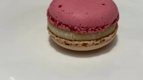 Raspberry Jasmine Macaron Close Up Slow Tilt Up Reveal Vídeos de archivo 332561574