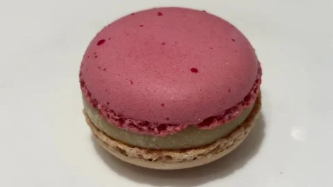 Raspberry Jasmine Macaron Rotating Close Up Stock Footage 332561526