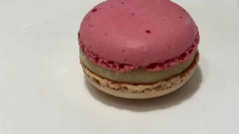 Raspberry Jasmine Macaron Slow Push In Close Up Vídeos de archivo 332561230