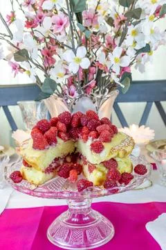 Raspberry key lime cake on a cake stand Stock Photos