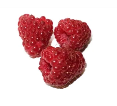 Raspberry large berries isolated on white background. Stock Photos
