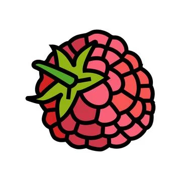 Raspberry leaf berry color icon vector illustration Stock Illustration