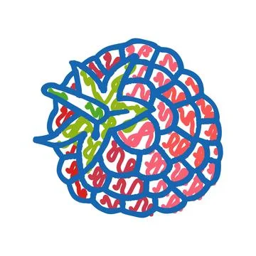 Raspberry leaf berry icon doodle illustration Stock Illustration