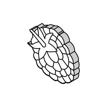 Raspberry leaf berry isometric icon vector illustration Stock Illustration