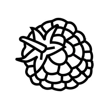 Raspberry leaf berry line icon vector illustration Stock Illustration
