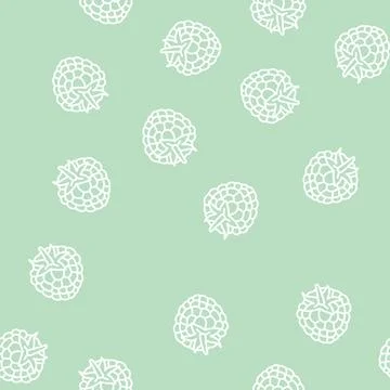 Raspberry leaf berry line seamless pattern Stock Illustration