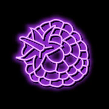 Raspberry leaf berry neon glow icon illustration Stock Illustration