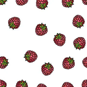 Raspberry leaf berry vector seamless pattern Stock Illustration