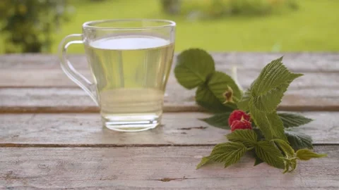 Raspberry leaf tisane Stock Footage 137787288