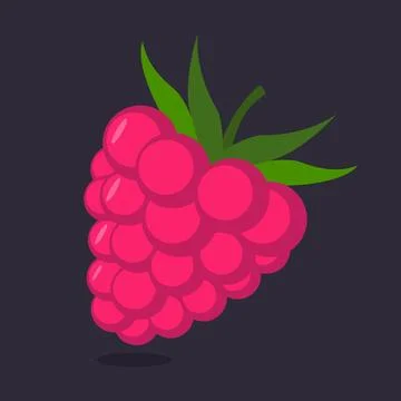 Raspberry with leaf vector icon. Stock Illustration