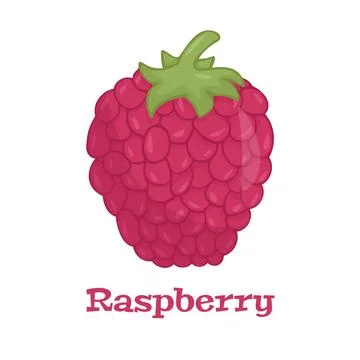 Raspberry with leaf vector icon. Raspberry icon clipart. Raspberry cartoon Stock Illustration