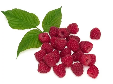 Raspberry with leaves isolated on white background. Stock Photos