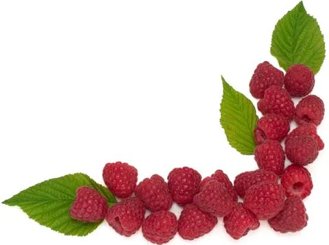 Raspberry with leaves isolated on white background Stock Photos