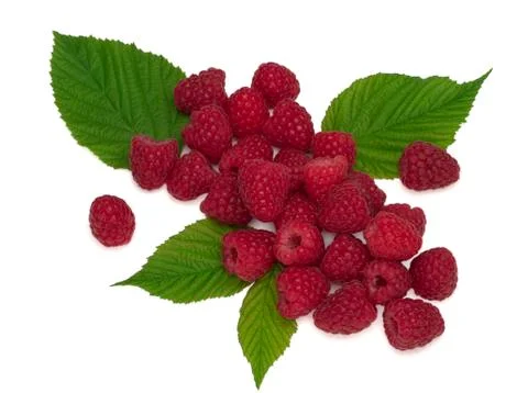 Raspberry with leaves isolated on white background. Stock Photos