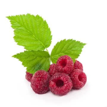 Raspberry with leaves isolated on white background. Stock Photos
