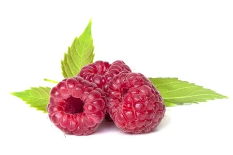 Raspberry with leaves isolated on white background. Stock-Fotos