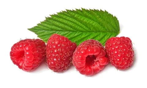 Raspberry with leaves isolated on white background Stock Photos