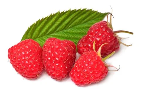 Raspberry with leaves isolated on white background Stock Photos