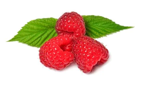 Raspberry with leaves isolated on white background Stock Photos
