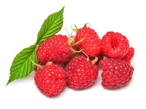 Raspberry with leaves isolated on white background Stock Photos