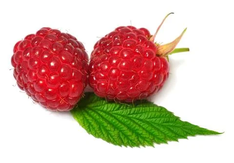 Raspberry with leaves isolated on white background Stock Photos