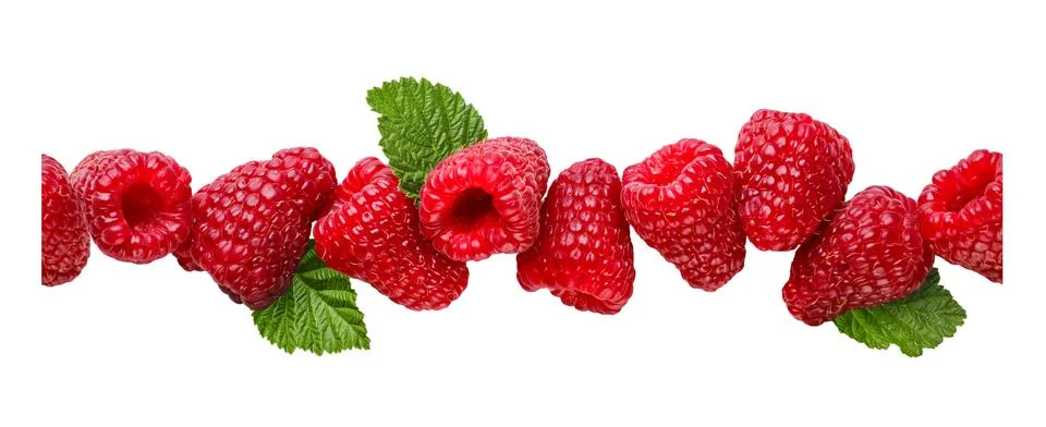 Raspberry with leaves pattern on white. Isolated 스톡 사진