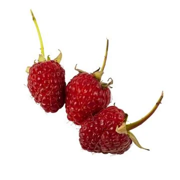 Raspberry with leaves. Raspberry isolated on white background. Stock Photos