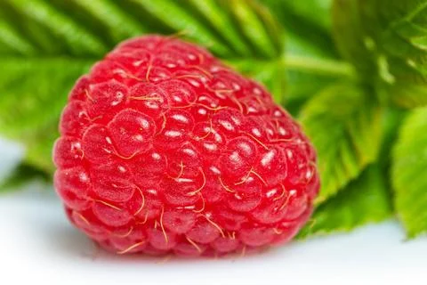 Raspberry with leaves. Raspberry isolated on white background. 스톡 사진