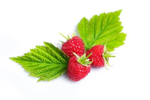 Raspberry with leaves. Raspberry isolated on white background. Stock-Fotos